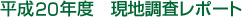 ����20�N�x�@���n�������|�[�g