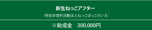 新生ねっこアフター （特定非営利活動法人ねっこぼっこのいえ）
